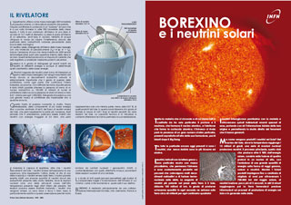 borex1